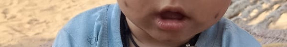 107912217966320354015 