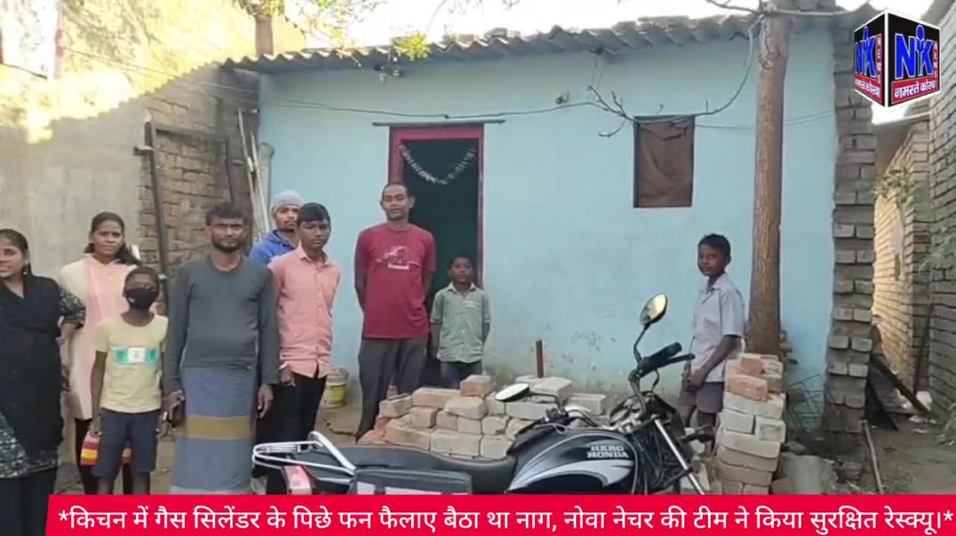 ⁣किचन में गैस सिलेंडर के पिछे फन फैलाए बैठा था नाग