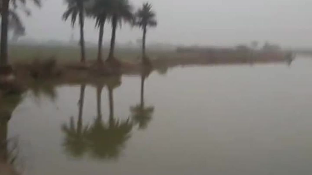 ⁣#MY VILLAGE TARA TALAB VIEW