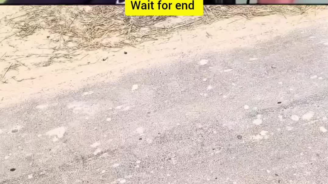 ⁣Chacha i love you 😂😂