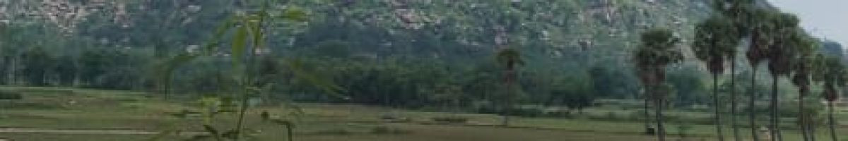 110146798751292602649 