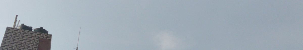 115683425246857168392 