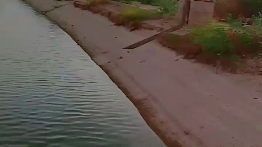 ⁣Tector speed #shorts #ytshorts #viral