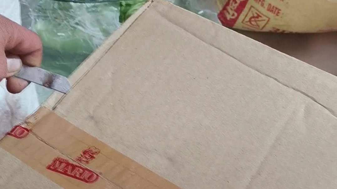 VID_20260127_154001812