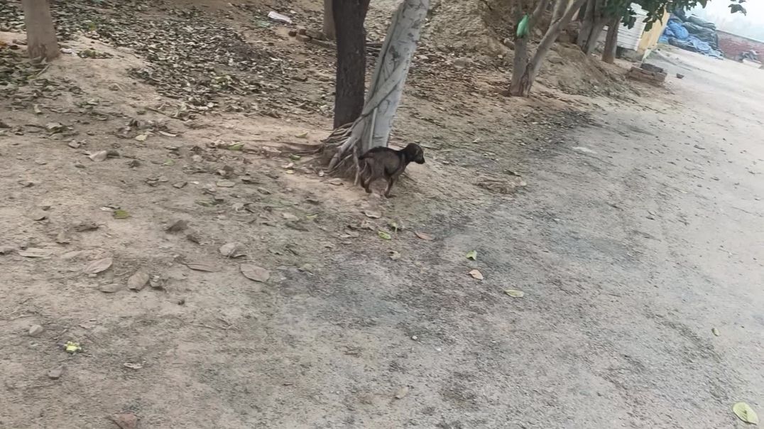 ⁣Nitesh Marodhiya Vlogs