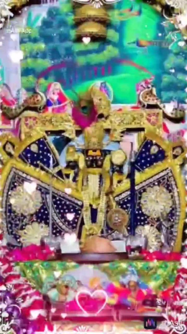 जय श्री सांवरिया सेठ जी sawariya seth shorts sawariya seth status _shorts _new _sawriyaseth(720P_HD)