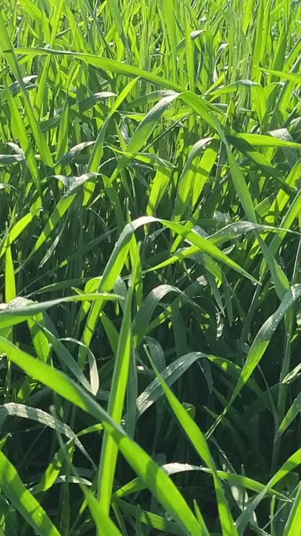 Full video youtube pr hai Link discription me hai https://www.youtube.com/@Ganeshnawdevlog