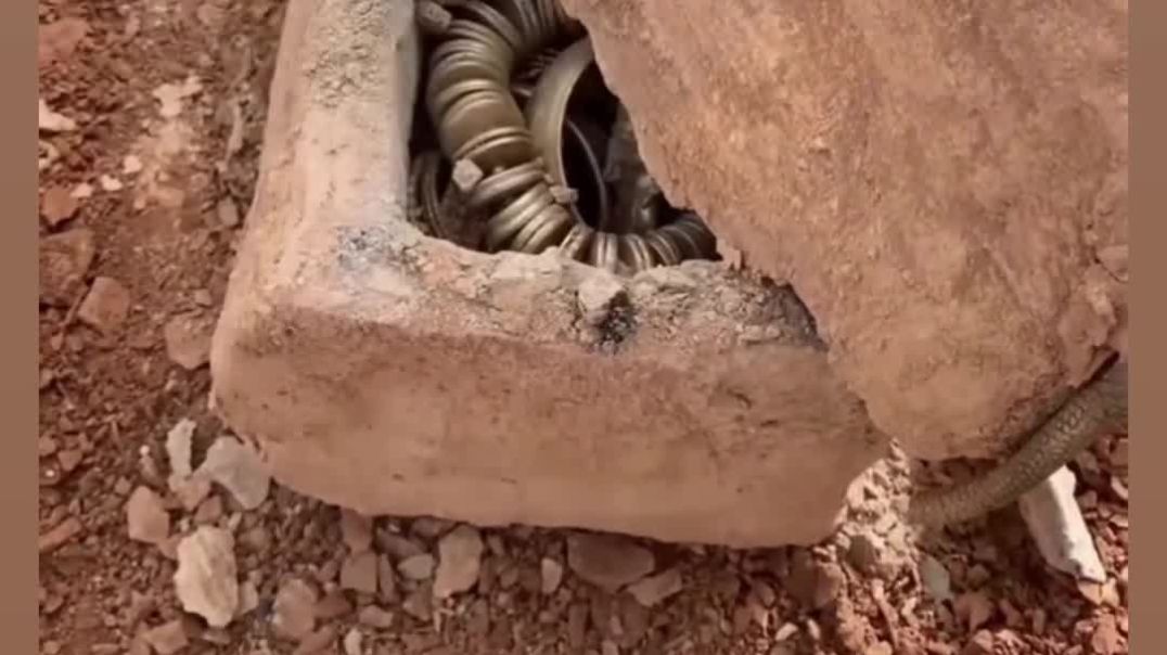 जय सांवरिया सेठ