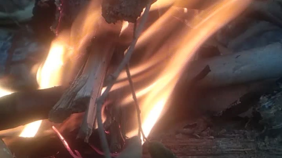 AI Mode All Videos Images Shopping Short videos Forums News Books Web Maps Flights Finance Search to