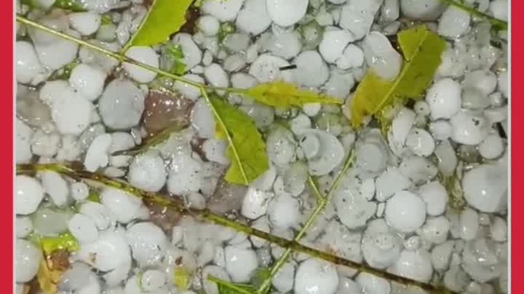 VID_20260127_185048_768