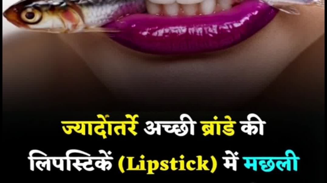 ⁣अच्छी ब्रांड्स की लिपस्टिक में मछली की चर्बी मिलाई जाती है? #shorts #facts #motivation