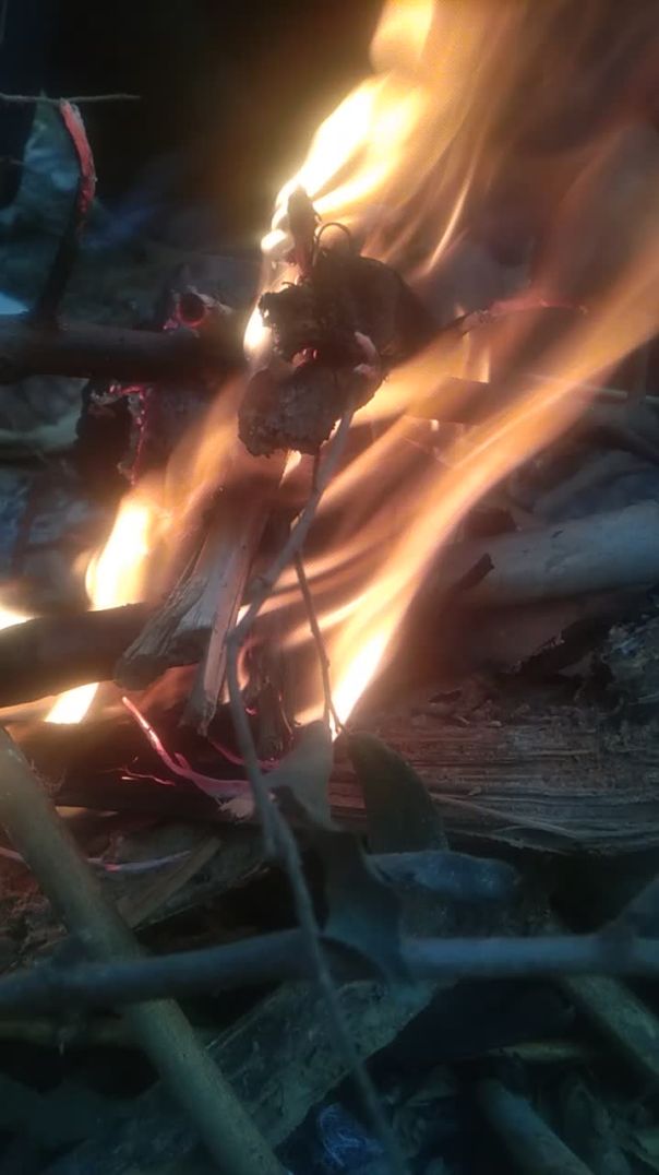 AI Mode All Videos Images Shopping Short videos Forums News Books Web Maps Flights Finance Search to