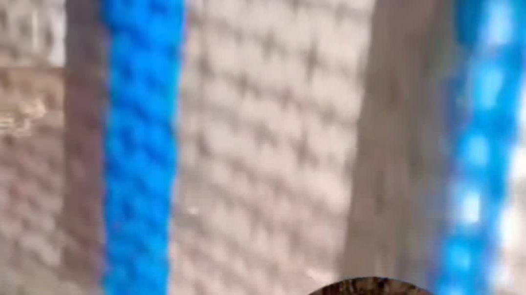 VID_20260105_005059_875