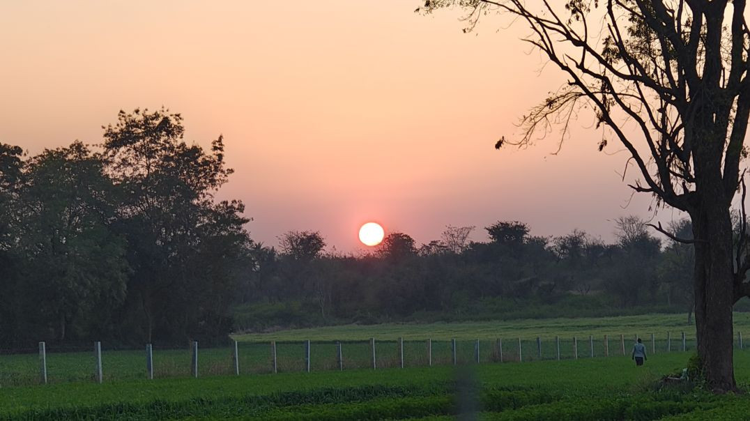 ⁣गांव 🛖 का शाम का बहुत अच्छा नजारा 🌄🌾👳#clipo#