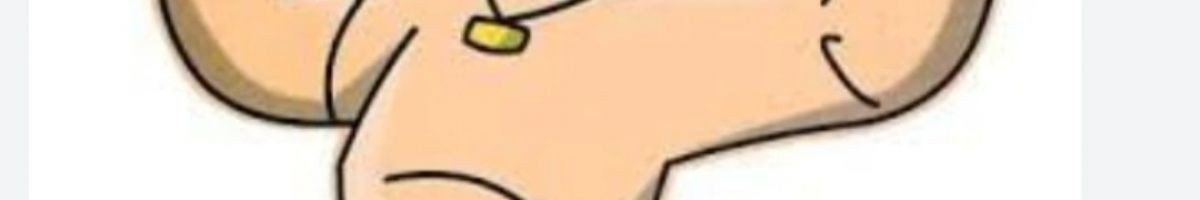 100560522501785739360 