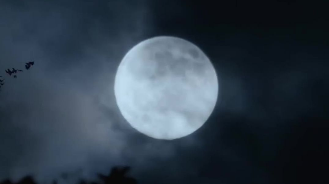 ⁣South Indian movie #facebookviral #facebookviral #facebookreelscontest #movietime #movienetflix #mov