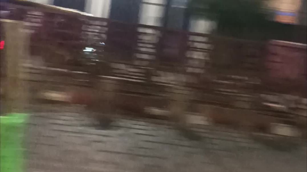 ⁣Daily vlogs trending short #short #tube