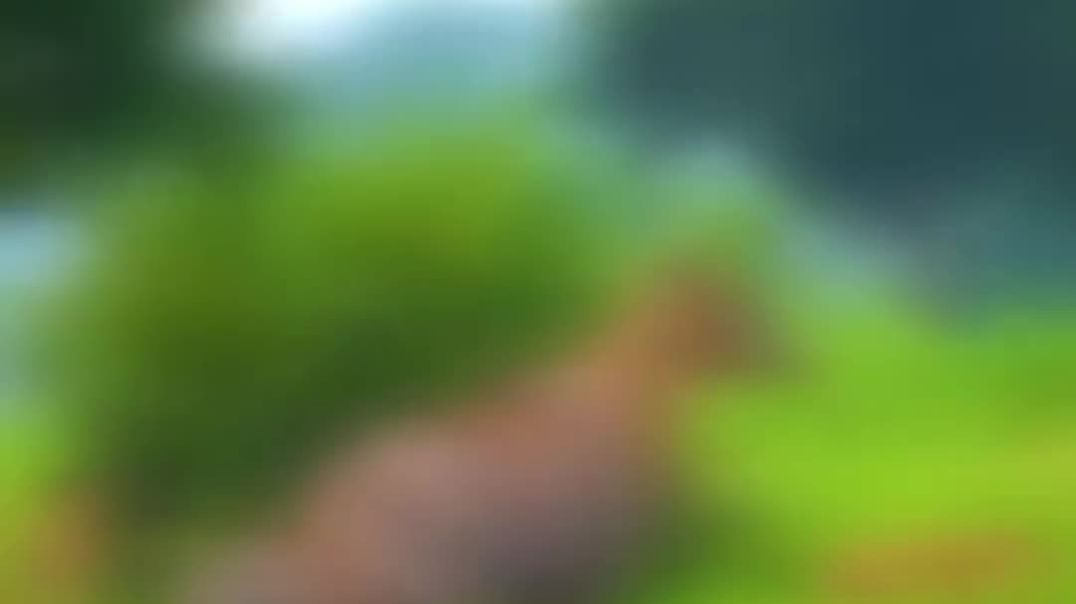 Chhatisgarh rajkiya pashu nilgay