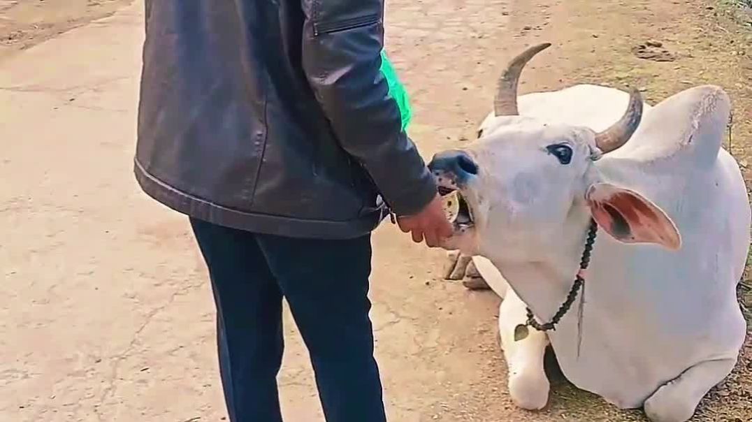 ⁣Mini blog ✨️ 2026