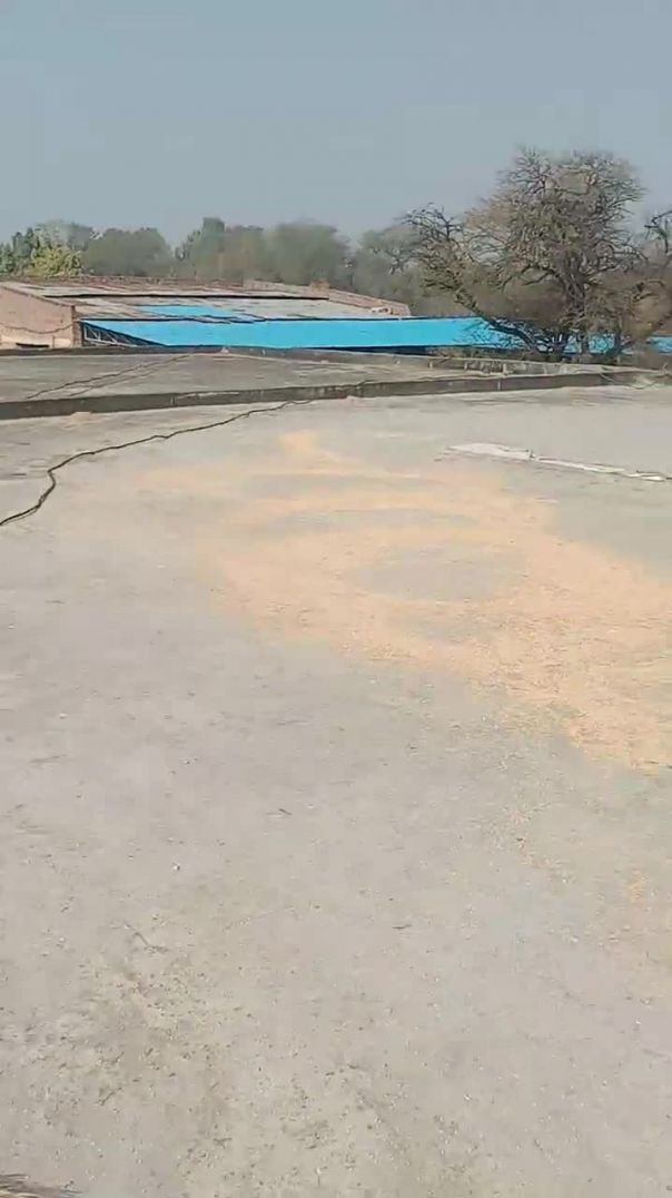 shahpur Hisar Haryana