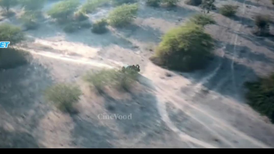 InShot_20260124_163206562