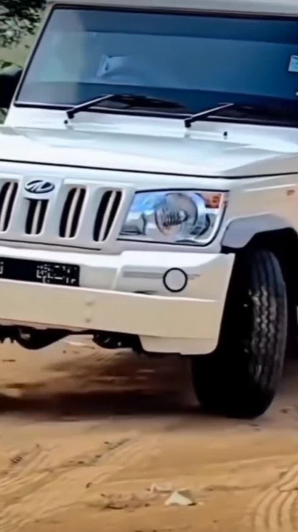 VID_20250313_094518_214