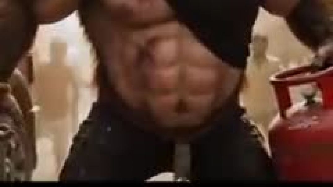 bandar_bhai_ka_lafra___Top_30_Bollywood_Action_Videos___Bandar_ka_funny_video_@BandarApnaDost(240p)