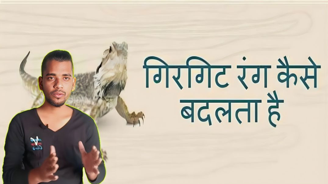 ⁣गिरगिट बॉडी का कलर कैसे बदल लेता है | Girgit | Colour | Body | AC Prashant