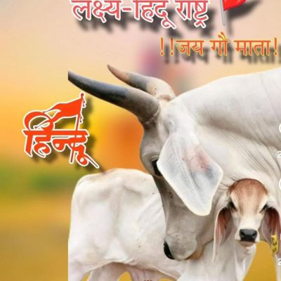 105411199790389343878 