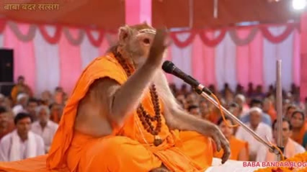 एक_तोता_एक_रुपये_का,_दूसरा_लाखों_का!_वजह_जानकर_चौंक_जाएंगे।_Sangati_ka_asar#spiritualkatha(240p)