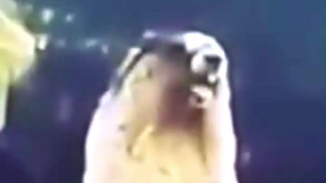 AQOKbcVxR62F3FiZL9keqTdx1UgUvFs_utE3SzSxfhmh6koeJbMciM_095bND_UTJiHEtIk94pLj1HVN9-rQdz0_8oNLIryQ8vqL