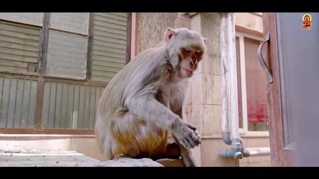 दूर_नगरी_बड़ी_दूर_नगरी_-_Dur_Nagri_Badi_dur_Nagri___Pandit_Gaurangi_Gauri_Ji___Krishan_Bhajan_2025(10