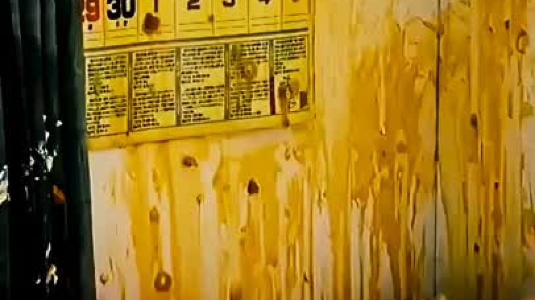 ⁣Inuyashiki (2018) Movie Explained in Hindi #inuyashiki