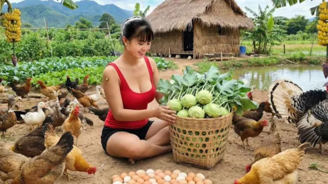 ⁣[TIMELAPSE] -- 136 Days Harvesting A Lot Of Chicken, Kohlrabi, Cabbage, Turk_HD