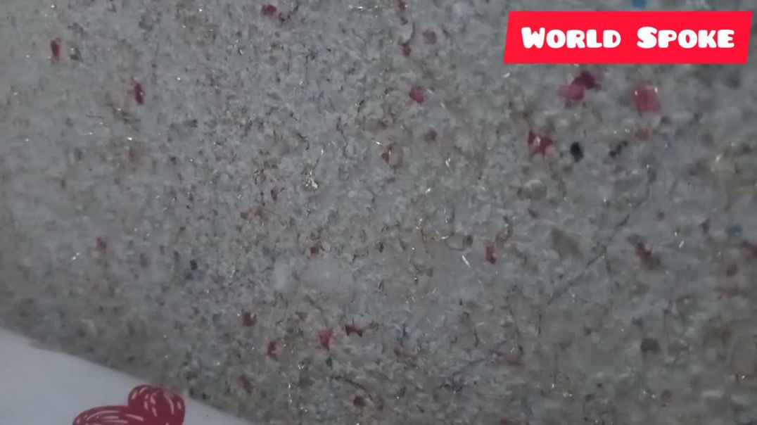 ⁣बिल्ली और बन्दर का आइसक्रीम केक_ BiliKe Bache _Chintu _pagal betacomedyvideo _cs bishtvines