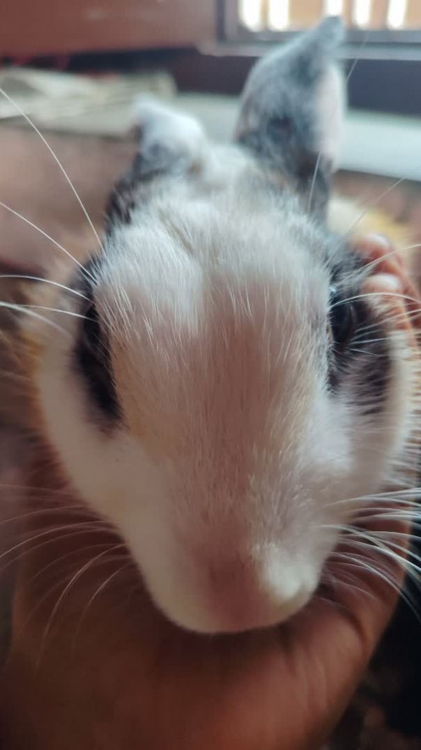 InShot_20251117_235443543