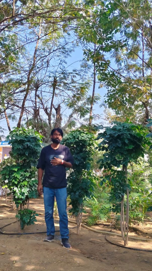 VID_24271202_031259_485