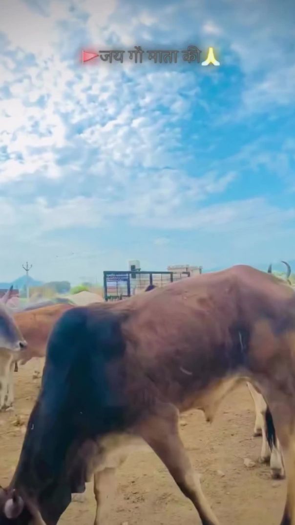 VID_20260127_212330_327