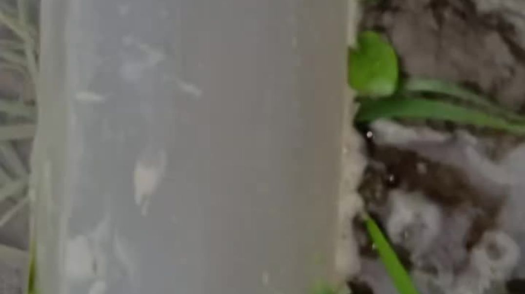 ⁣New video for intertainmet funny video actor in bihar