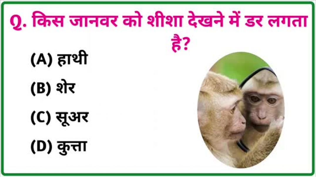 ⁣GK Question || GK In Hindi || GK Question  and Answer || GK Quiz