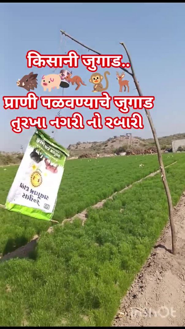 किसानी जुगाड..प्राणी पळवण्याचे जुगाड🐗🐖🦘🐒🦌 #farming #family