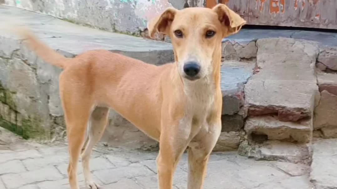 VID_20250911_220352_983