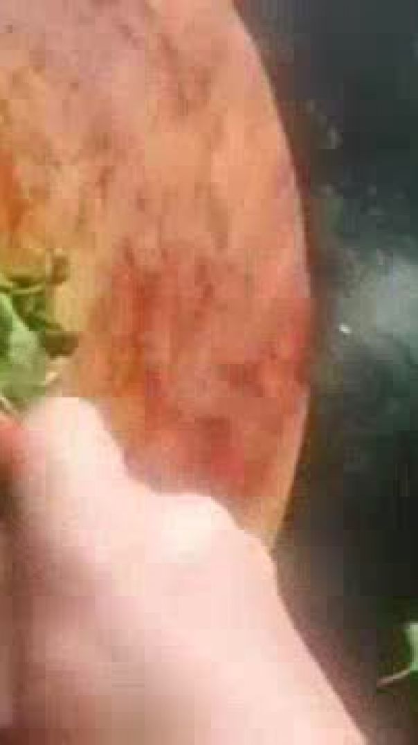 Bathua ke paraathe recipe