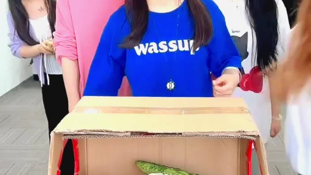 ⁣Apna tube ka trending video