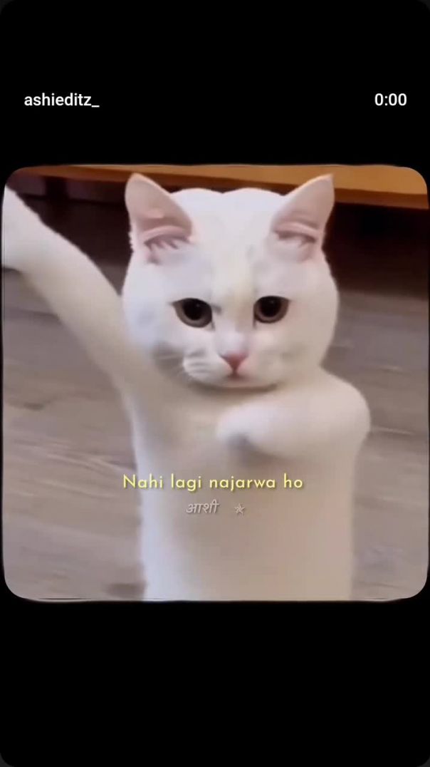 VID_20260118_181806_258