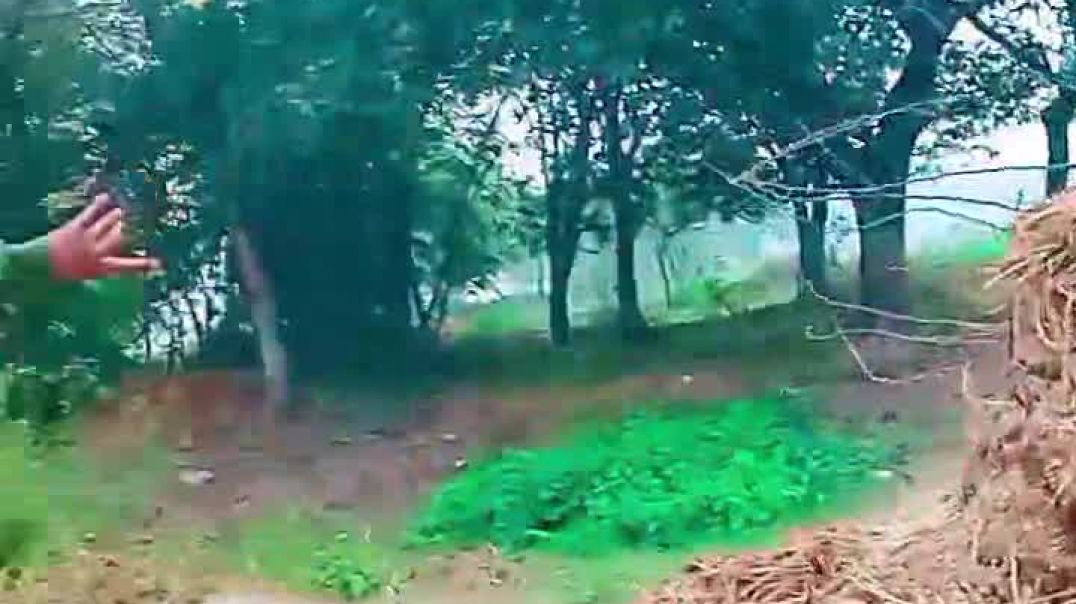 VID_20260101_230407_163