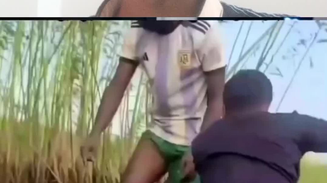 ⁣saamp Ko Dekha Nahin #shorts #vairalshort