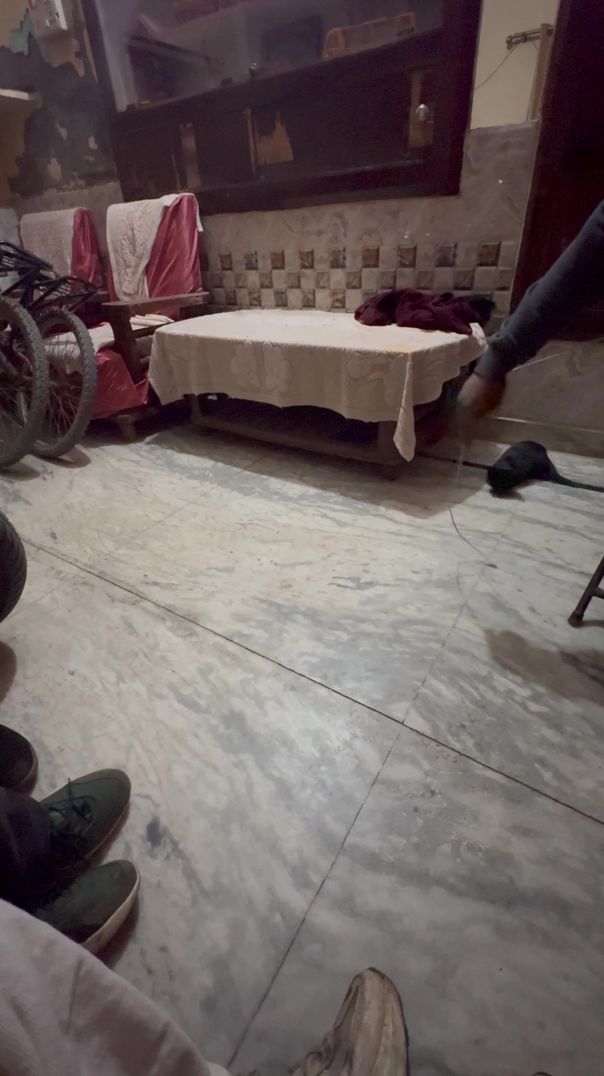 khatarnak billi 😨😰