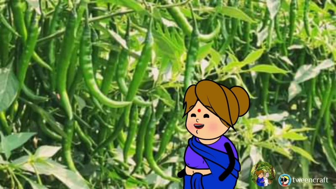 ⁣मिर्चा चोरी के केश 🤣 | lalkajiji cartoon | lalkajiji | cartoon