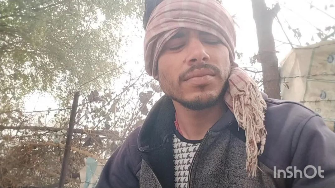 InShot_20260128_100645568